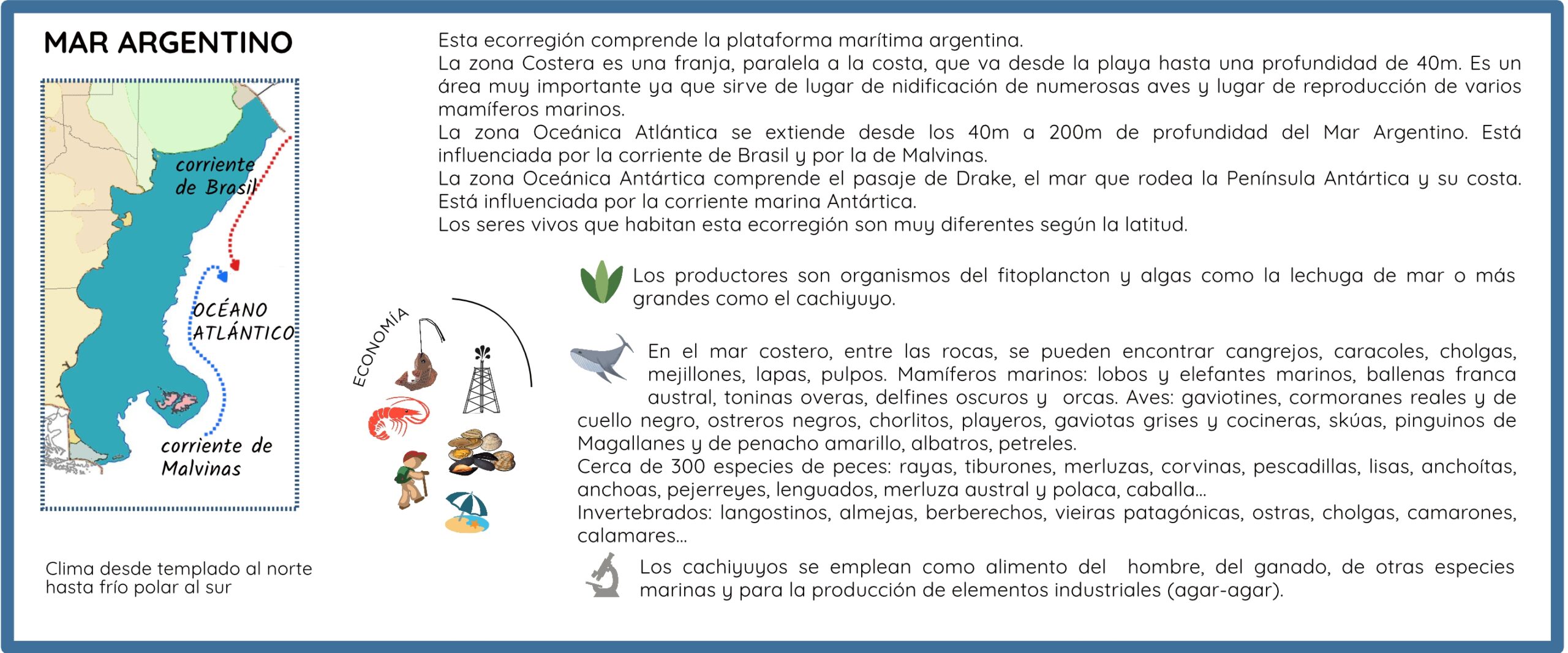 ficha resumen mar argentino