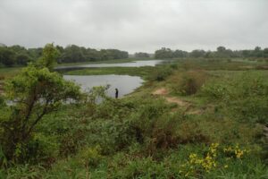 Bañados cerca del Paraná- Resistencia Chaco Húmedo