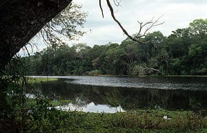 Laguna Panza de cabra Parque Nacional Chaco