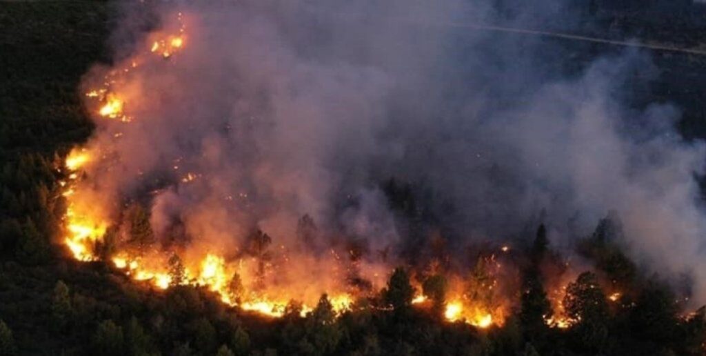 incendio en El Bolsón. Bosques patagónicos