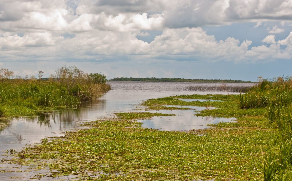 Esteros del iberá, Corrientes