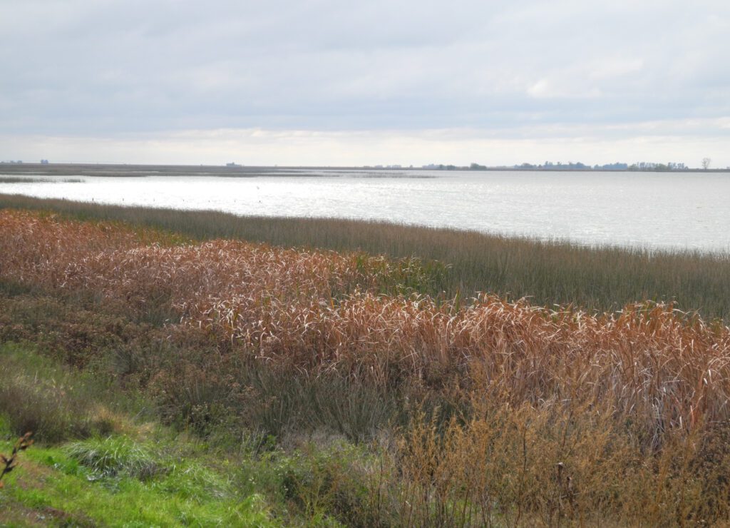 Laguna en la ecorregión Pampa