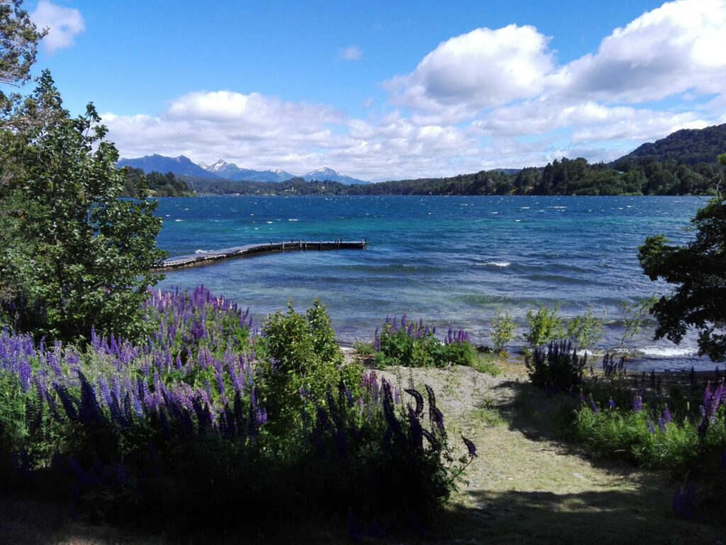 Lago Nahuel Huapi, Bariloche, Río Negro. Bosques patagónicos